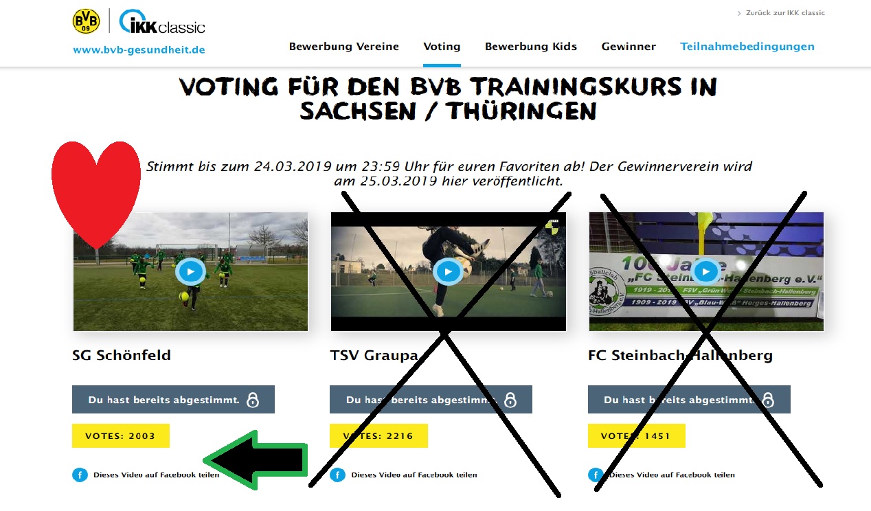 Voting BVB